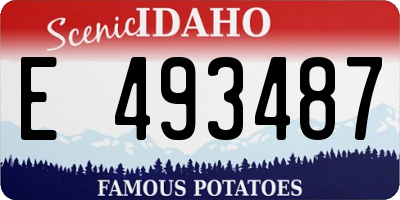 ID license plate E493487