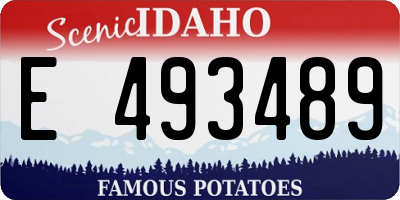 ID license plate E493489
