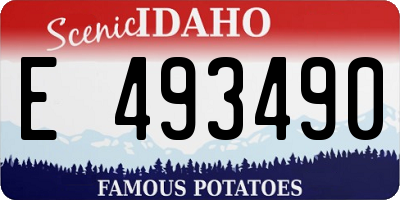 ID license plate E493490