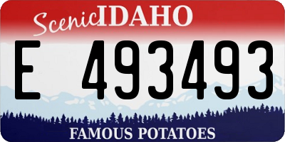 ID license plate E493493