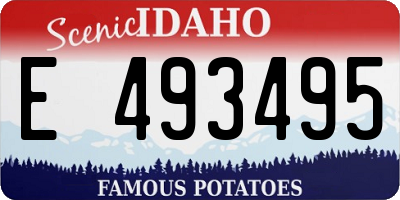 ID license plate E493495