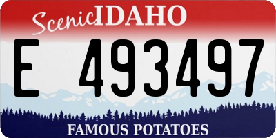 ID license plate E493497