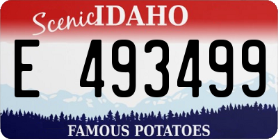 ID license plate E493499