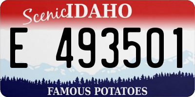 ID license plate E493501