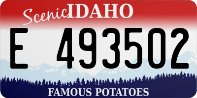 ID license plate E493502