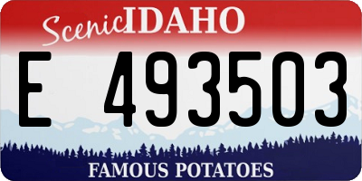 ID license plate E493503