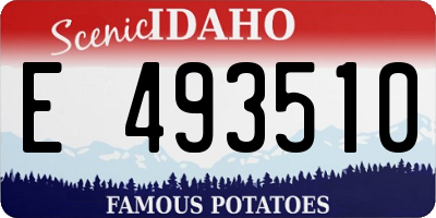 ID license plate E493510
