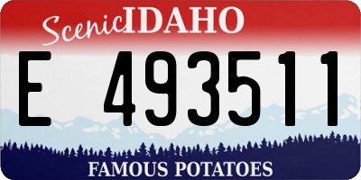 ID license plate E493511