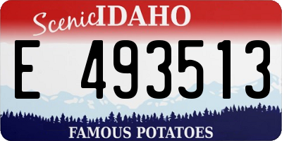 ID license plate E493513