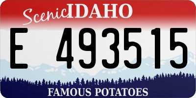 ID license plate E493515