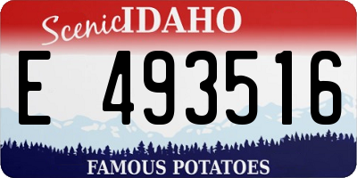 ID license plate E493516
