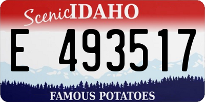 ID license plate E493517
