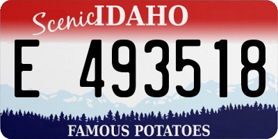 ID license plate E493518