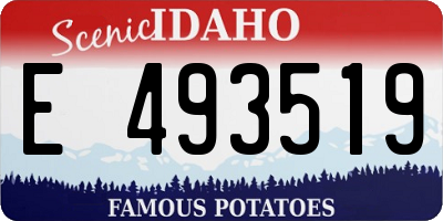 ID license plate E493519