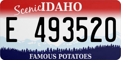 ID license plate E493520