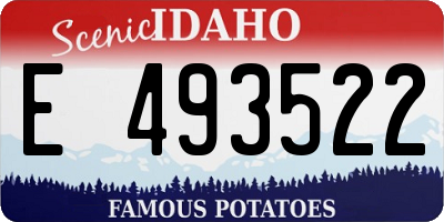 ID license plate E493522