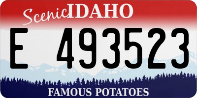 ID license plate E493523