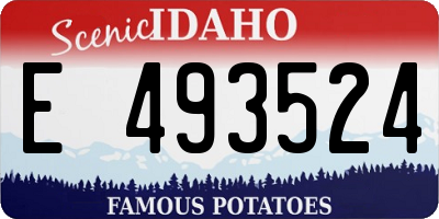 ID license plate E493524
