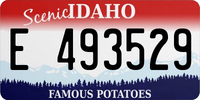 ID license plate E493529