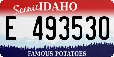 ID license plate E493530
