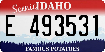 ID license plate E493531