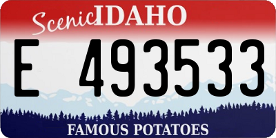 ID license plate E493533