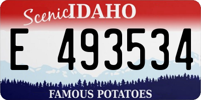 ID license plate E493534