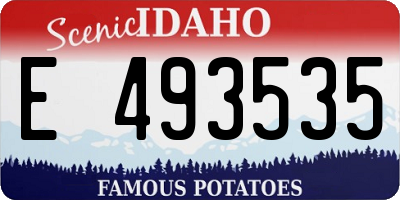 ID license plate E493535