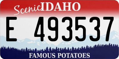 ID license plate E493537
