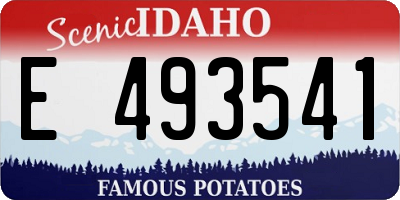 ID license plate E493541
