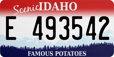 ID license plate E493542