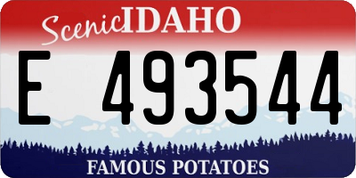 ID license plate E493544