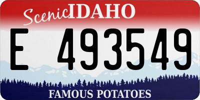 ID license plate E493549