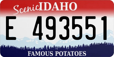 ID license plate E493551