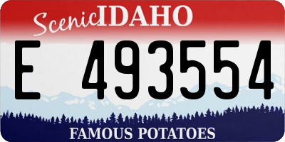 ID license plate E493554