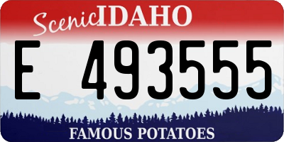 ID license plate E493555