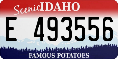 ID license plate E493556