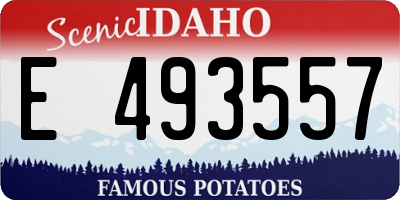 ID license plate E493557