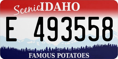 ID license plate E493558