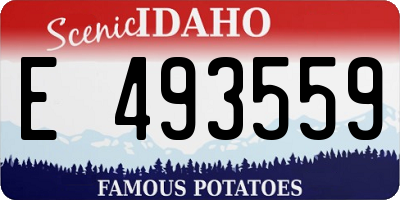 ID license plate E493559