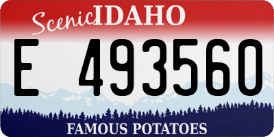 ID license plate E493560