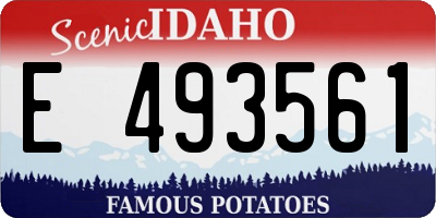 ID license plate E493561