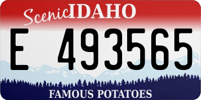 ID license plate E493565