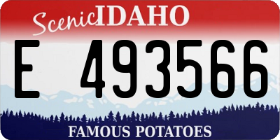 ID license plate E493566