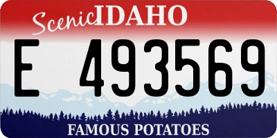 ID license plate E493569