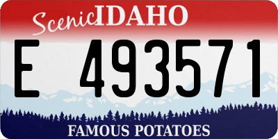 ID license plate E493571