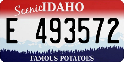 ID license plate E493572