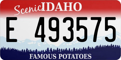 ID license plate E493575