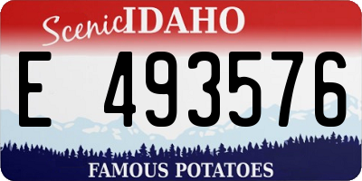 ID license plate E493576