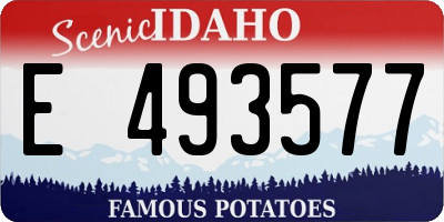 ID license plate E493577